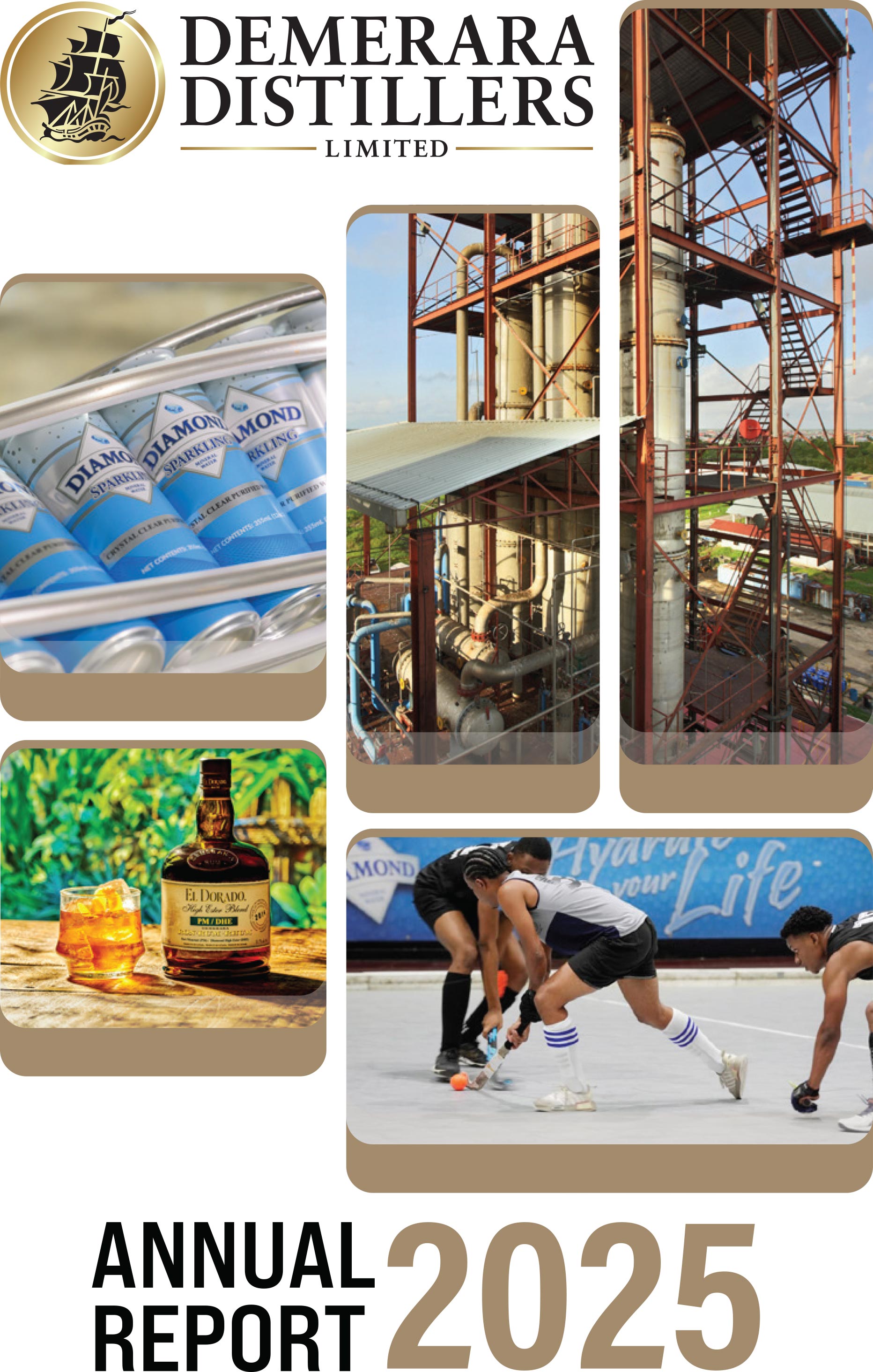 Annual report 2025 cover